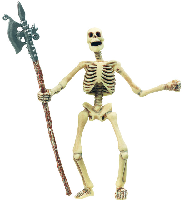 Esqueleto-0