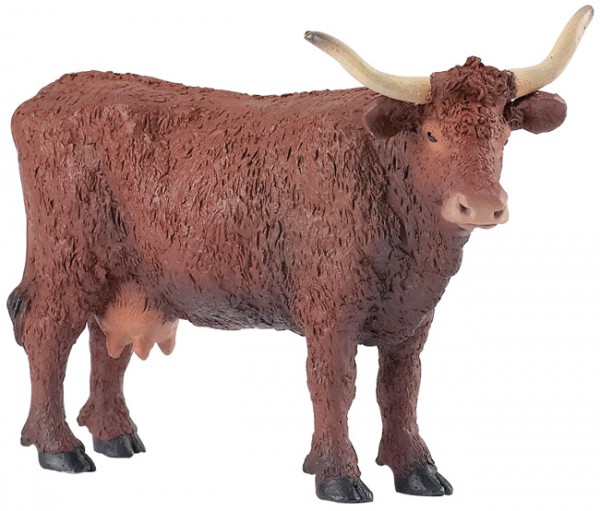 Vaca Salers-0