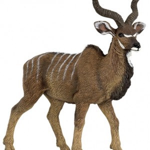 Antilope Kudú-0