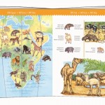 Puzzle de Observación 100 Piezas Animales del mundo2