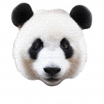 PandaPuzzleOnlyCatalog-scaled